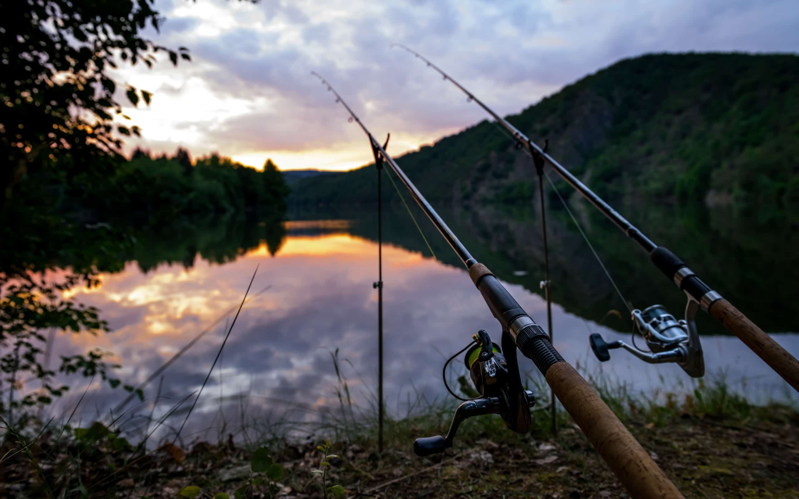 Рыбалка Озеро уташ | Уташ | Fish Search