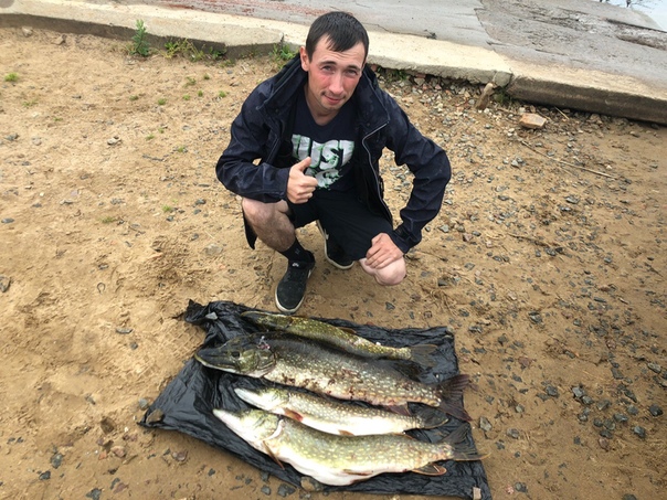 Фото с рыбалки Карп, Лещ, Щука