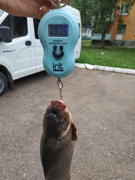 Фото с рыбалки Карась, Линь