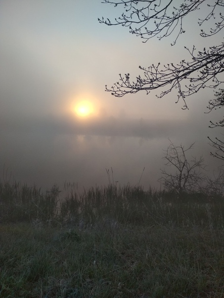 Фото с рыбалки Щука