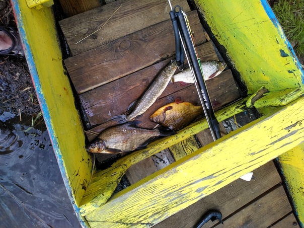 Фото с рыбалки Карась, Лещ, Щука