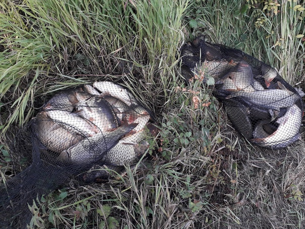 рыбалка на дону семикаракорский район