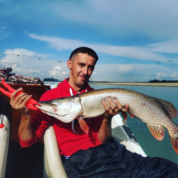 Фото с рыбалки Судак, Щука