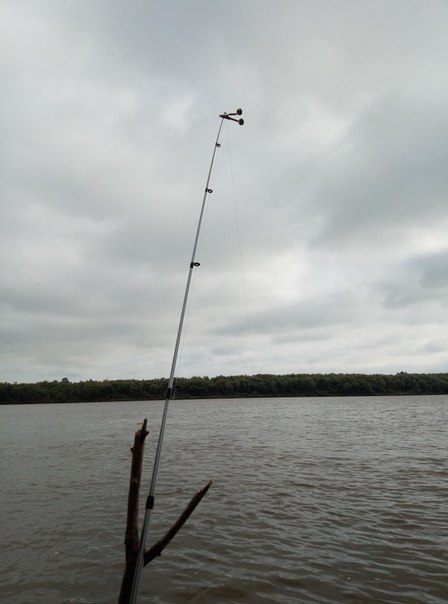 Фото с рыбалки Лещ, Плотва
