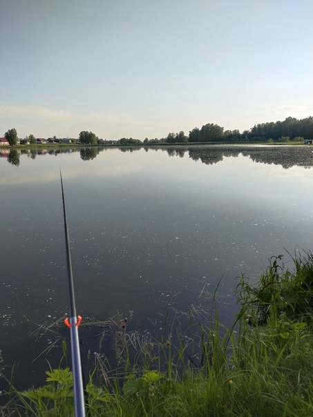 Фото с рыбалки Окунь