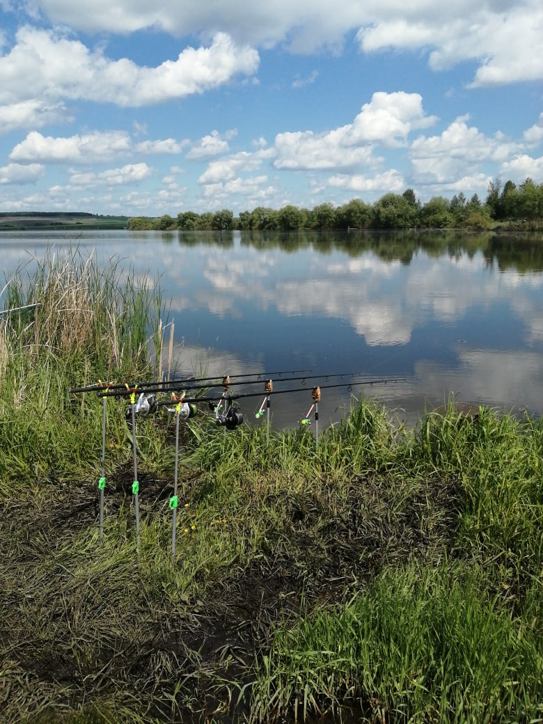 Фото с рыбалки Ловля сазана