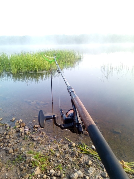 Фото с рыбалки Белоглазка, Лещ, Язь