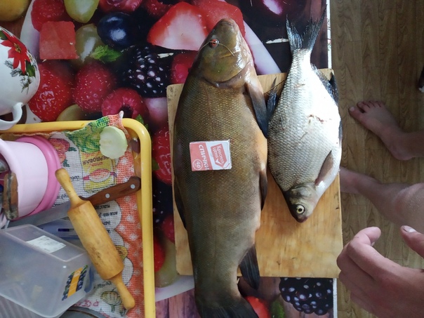 Рыбалка Лещ, Линь