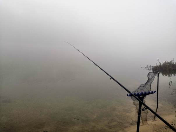 Фото с рыбалки Белоглазка, Донской ерш (носарь)