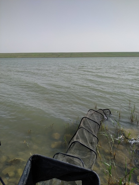 Фото с рыбалки Лещ, Плотва, Уклейка