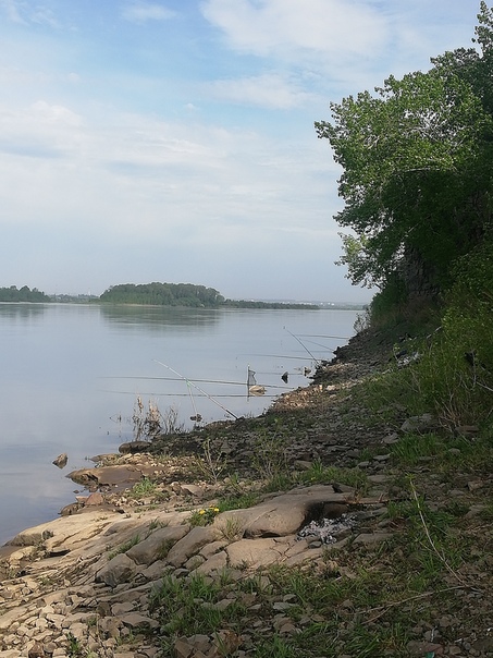 Фото с рыбалки Елец, Окунь, Плотва, Язь