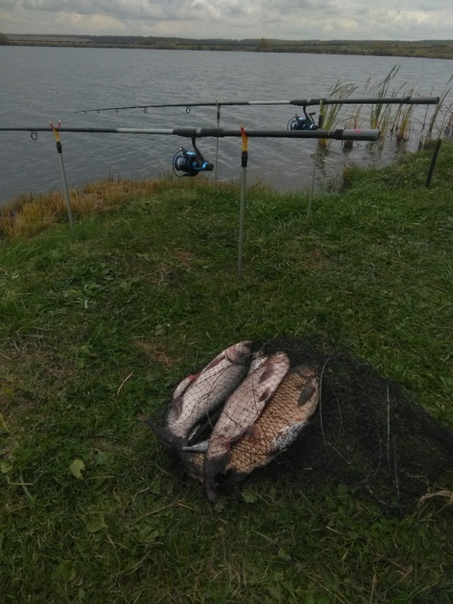 Рыбалка в Калиновке Мордовия - подробности и рекомендации