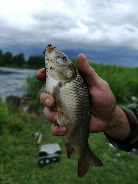 Рыбалка в иваново