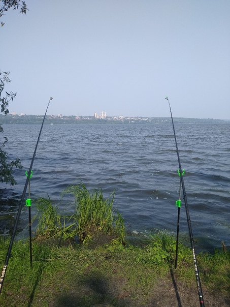 Фото с рыбалки Карась, Лещ, Линь, Плотва