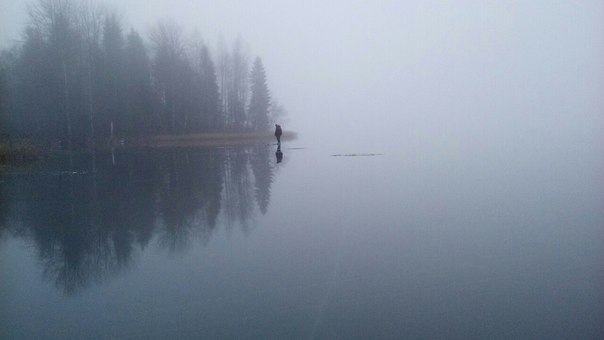 Фото с рыбалки Окунь