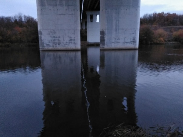 Фото с рыбалки Голавль, Жерех