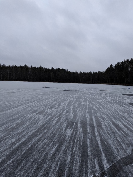 Фото с рыбалки Щука