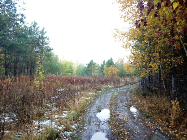 Фото с рыбалки Щука