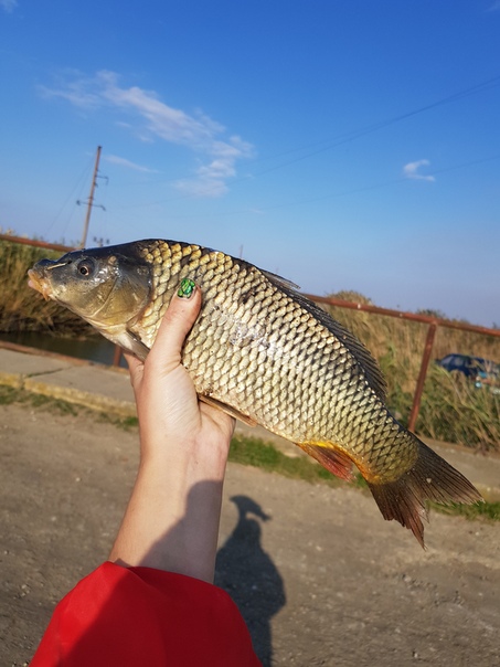 рыбалка на кубани славянский район