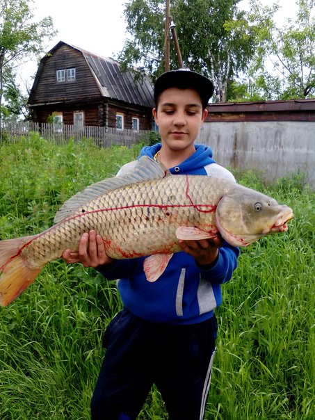 Фото с рыбалки Карп