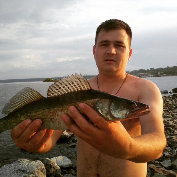 прогноз клева в ульяновске стоит ли ехать на рыбалку
