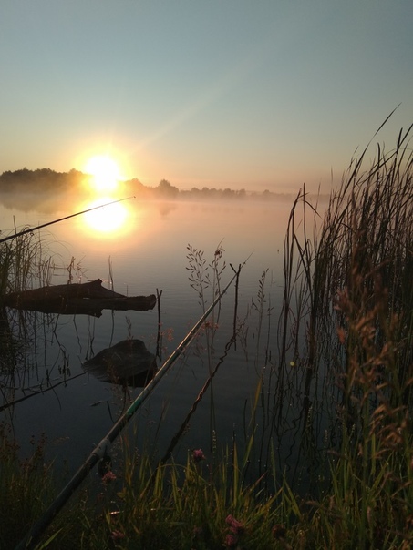 Фото с рыбалки Карп, Плотва