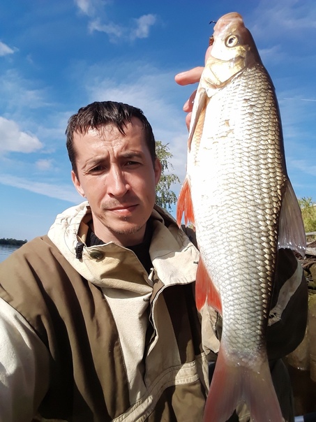 Фото с рыбалки Жерех, Окунь, Щука