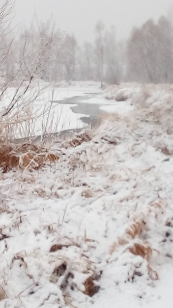 Фото с рыбалки Окунь, Щука