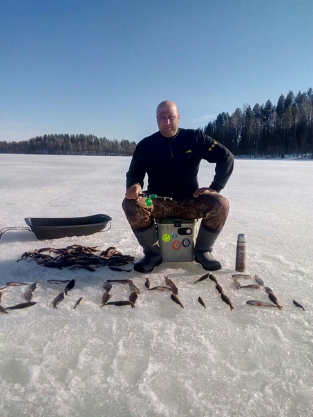 Фото с рыбалки Окунь