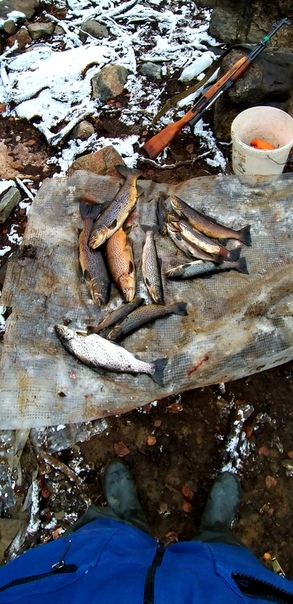 Фото с рыбалки Кумжа