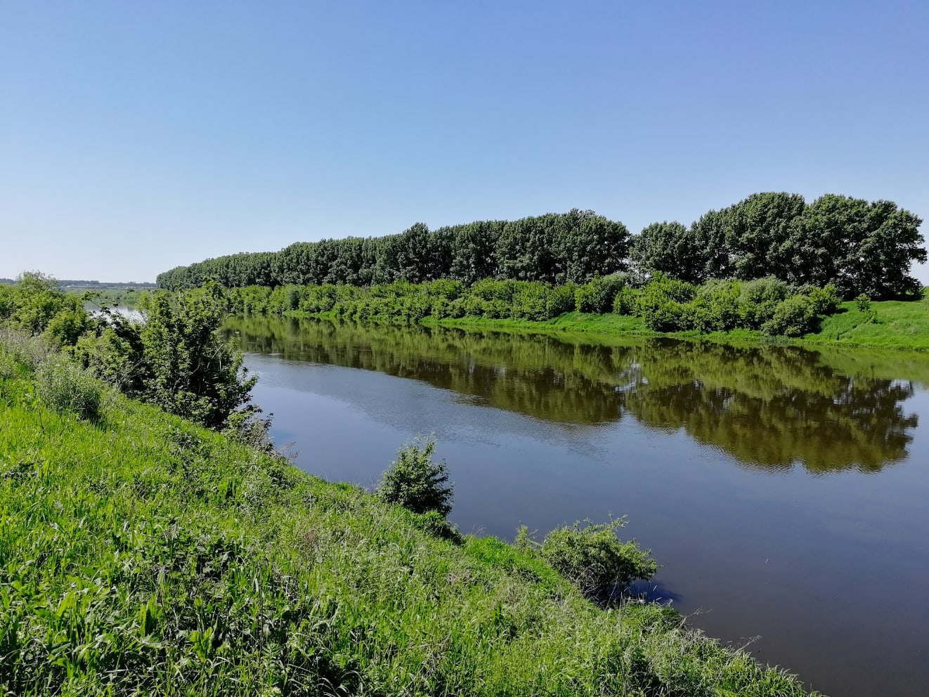 Фото с рыбалки Ловля леща, карася, подуста