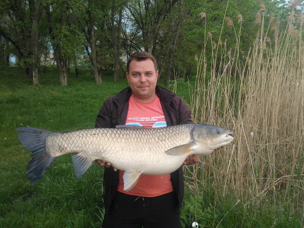 Фото с рыбалки Амур Белый, Лещ, Плотва