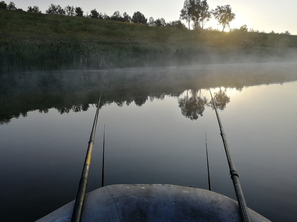 Фото с рыбалки Карась