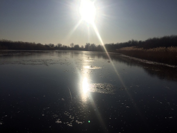 Фото с рыбалки Окунь, Щука