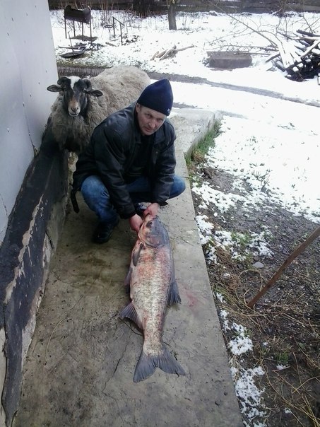 Фото с рыбалки Судак, Толстолоб