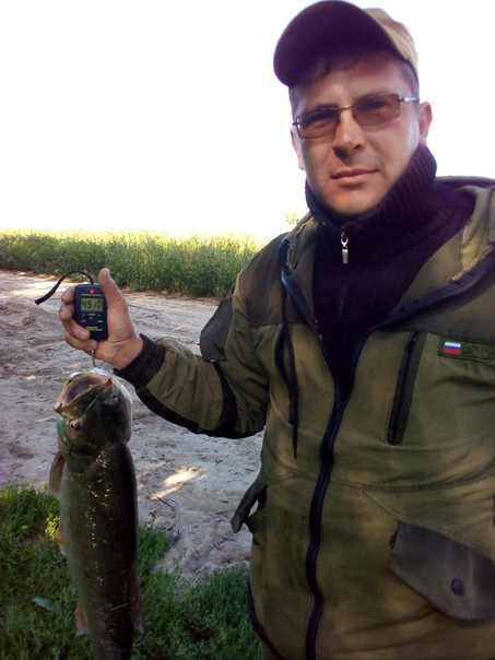 Фото с рыбалки Жерех
