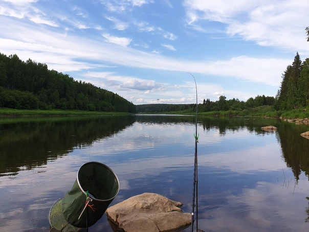 Фото с рыбалки Голавль, Лещ, Язь