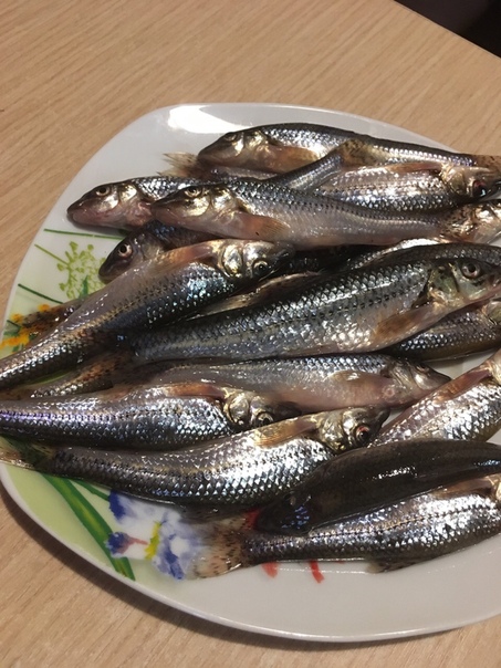Фото с рыбалки Пескарь, Плотва, Рак, Уклейка