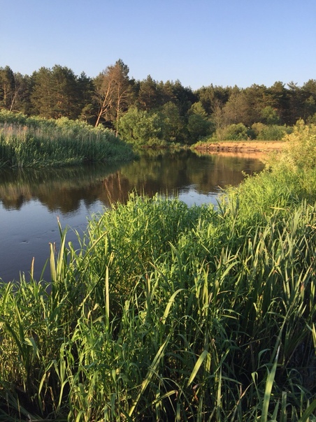 Фото с рыбалки Лещ