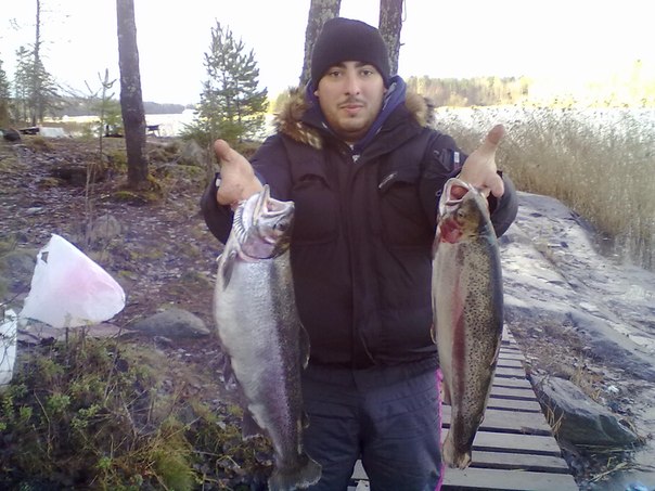 Фото с рыбалки Форель озерная