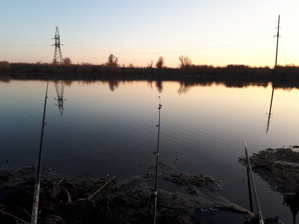 Фото с рыбалки Белоглазка, Карась