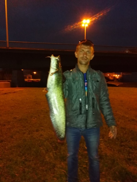 Фото с рыбалки Сом