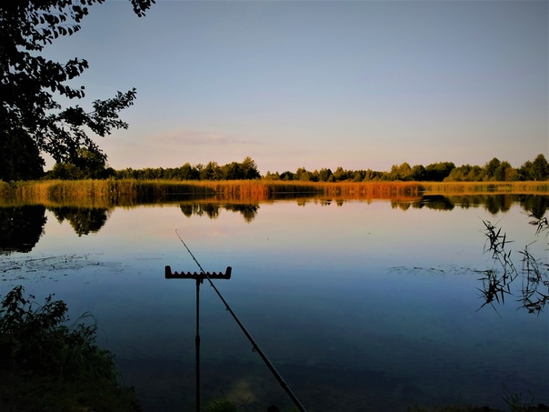 Фото с рыбалки Густера, Лещ, Плотва
