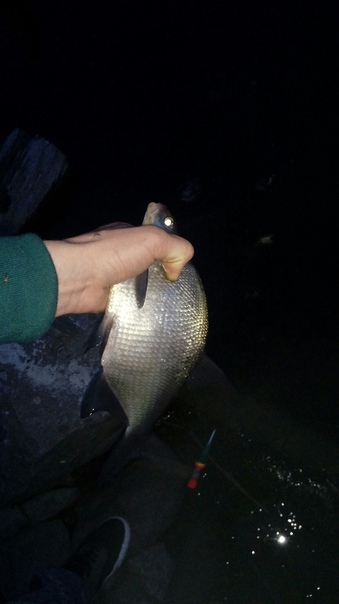Клев рыбы в Петрозаводске - рыболовный рай для любителей спортивной ловли