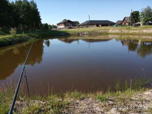 Фото с рыбалки Карась, Линь