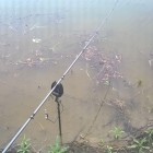 Фото рыбалки в Плотва 4