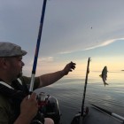 Фото рыбалки в Щука, Окунь 0