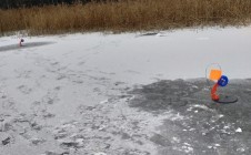 Фото рыбалки в СНТ Водолей 3