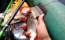 Фото рыбалки в Аннинский район 10