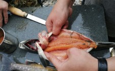 Фото рыбалки в Ловозерский район 5